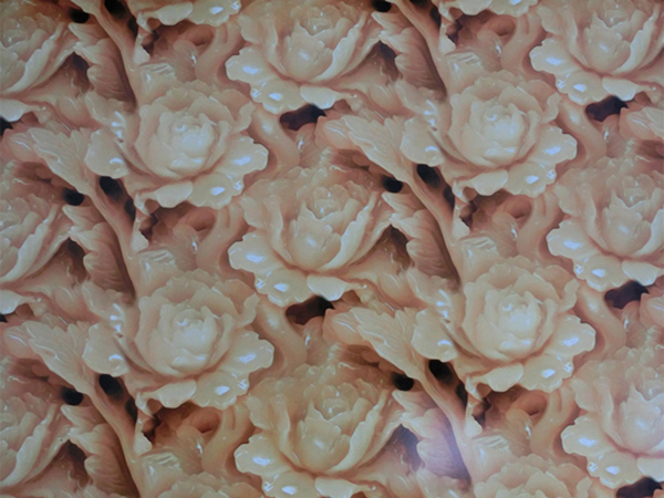 8 玉牡丹.jpg 8 玉牡丹.jpg